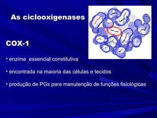 As ciclooxigenases COX-1  enzima  essencial constitutiva  encontrada na maioria das células e tecidos produção de PGs para manutenção de funções fisiológicas 