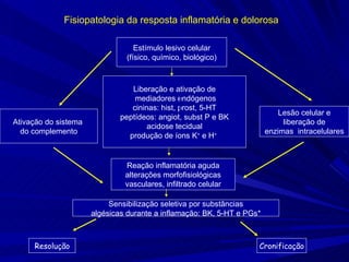 Fisiopatologia da resposta inflamatória e dolorosa Estímulo lesivo celular (físico, químico, biológico) Lesão celular e liberação de  enzimas  intracelulares Liberação e ativação de mediadores endógenos cininas: hist, prost, 5-HT peptídeos: angiot, subst P e BK acidose tecidual produção de íons K +  e H +   Ativação do sistema  do complemento Resolução Cronificação Sensibilização seletiva por substâncias algésicas durante a inflamação: BK, 5-HT e PGs*  Reação inflamatória aguda alterações morfofisiológicas vasculares, infiltrado celular 