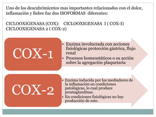 • Enzima involucrada con acciones
fisiológicas protección gástrica, flujo
renal
• Procesos homeostáticos o su acción
sobre la agregación plaquetaria
COX-1
• Enzima inducida por los mediadores de
la inflamación en condiciones
patológicas, lo cual produce
prostaglandinas.
• En condiciones fisiológicas no hay
producción de este.
COX-2
Uno de los descubrimientos mas importantes relacionados con el dolor,
inflamación y fiebre fue dos ISOFORMAS diferentes:
CICLOOXIGENASA (COX): CICLOOXIGENASA I ( COX-I)
CICLOOXIGENASA 2 ( COX-2)
 