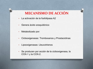 MECANISMO DE ACCIÓN
• La activación de la fosfolipasa A2
• Genera ácido araquidónico
• Metabolizado por:
• Ciclooxigenasas: Tromboxanos y Prostaciclinas
• Lipooxigenasas: Lleucotrienos
• Se producen por acción de la ciclooxigenasa, la
COX-1 y la COX-2.
 