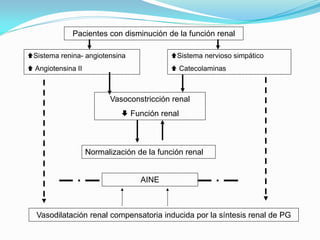 Pacientes con disminución de la función renal

Sistema renina- angiotensina              Sistema nervioso simpático
 An...
