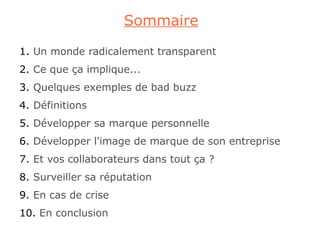 Sommaire

1. Un monde radicalement transparent
2. Ce que ça implique...
3. Quelques exemples de bad buzz
4. Définitions
5. Développer sa marque personnelle
6. Développer l'image de marque de son entreprise
7. Et vos collaborateurs dans tout ça ?
8. Surveiller sa réputation
9. En cas de crise
10. En conclusion
 