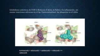 lumiracoxib = etoricoxib > valdecoxib = rofecoxib >>
celecoxib
Inhibidores selectivos de COX-2 Reducen el dolor, la fiebre y la inflamación, sin
causar reacciones adversas en el Ap. Gastrointestinal, las plaquetas ni el riñón
 