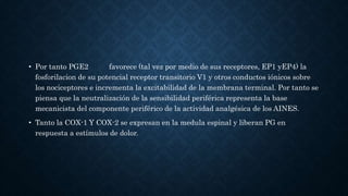 • Por tanto PGE2 favorece (tal vez por medio de sus receptores, EP1 yEP4) la
fosforilacion de su potencial receptor transitorio V1 y otros conductos iónicos sobre
los nociceptores e incrementa la excitabilidad de la membrana terminal. Por tanto se
piensa que la neutralización de la sensibilidad periférica representa la base
mecanicista del componente periférico de la actividad analgésica de los AINES.
• Tanto la COX-1 Y COX-2 se expresan en la medula espinal y liberan PG en
respuesta a estímulos de dolor.
 