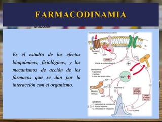 FARMACODINAMIA
Es el estudio de los efectos
bioquímicos, fisiológicos, y los
mecanismos de acción de los
fármacos que se dan por la
interacción con el organismo.
 