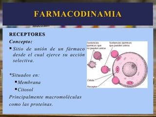 RECEPTORES
Concepto:
 Sitio de unión de un fármaco
desde el cual ejerce su acción
selectiva.
*Situados en:
Membrana
Citosol
Principalmente macromoléculas
como las proteínas.
FARMACODINAMIA
 