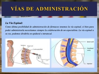 La Vía Espinal:
Como última posibilidad de administración de fármacos tenemos la vía espinal, si bien para
poder administrarla necesitamos siempre la colaboración de un especialista. La vía espinal a
su vez, podemos dividirla en epidural e intratecal.
VÍAS DE ADMINISTRACIÓN
 
