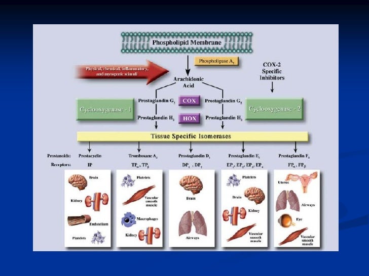 Antiinflamatorios no esteroidales(AINEs) y riesgo Antiinflamatorios no esteroidales(AINEs) y riesgo