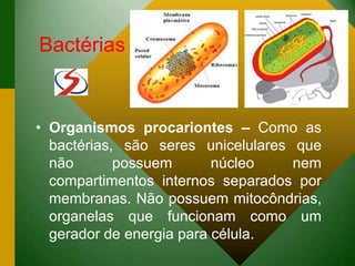 Bactérias
• Organismos procariontes – Como as
bactérias, são seres unicelulares que
não possuem núcleo nem
compartimentos internos separados por
membranas. Não possuem mitocôndrias,
organelas que funcionam como um
gerador de energia para célula.
 