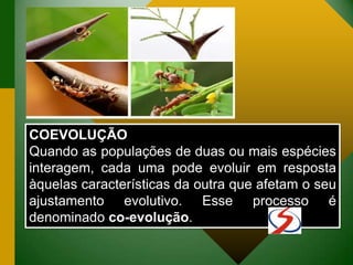 COEVOLUÇÃO
Quando as populações de duas ou mais espécies
interagem, cada uma pode evoluir em resposta
àquelas características da outra que afetam o seu
ajustamento evolutivo. Esse processo é
denominado co-evolução.
 