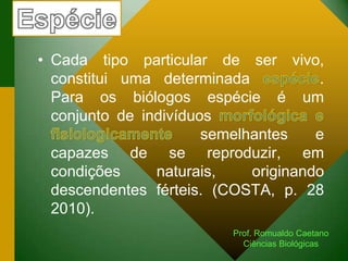 • Cada tipo particular de ser vivo,
constitui uma determinada .
Para os biólogos espécie é um
conjunto de indivíduos
semelhantes e
capazes de se reproduzir, em
condições naturais, originando
descendentes férteis. (COSTA, p. 28
2010).
Prof. Romualdo Caetano
Ciências Biológicas
 