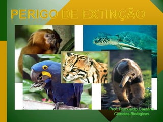 Prof. Romualdo Caetano
Ciências Biológicas
 