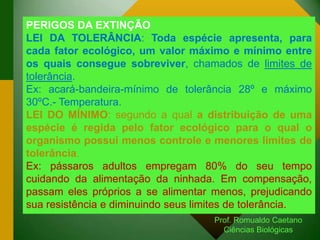 PERIGOS DA EXTINÇÃO
LEI DA TOLERÂNCIA: Toda espécie apresenta, para
cada fator ecológico, um valor máximo e mínimo entre
os quais consegue sobreviver, chamados de limites de
tolerância.
Ex: acará-bandeira-mínimo de tolerância 28º e máximo
30ºC.- Temperatura.
LEI DO MÍNIMO: segundo a qual a distribuição de uma
espécie é regida pelo fator ecológico para o qual o
organismo possui menos controle e menores limites de
tolerância.
Ex: pássaros adultos empregam 80% do seu tempo
cuidando da alimentação da ninhada. Em compensação,
passam eles próprios a se alimentar menos, prejudicando
sua resistência e diminuindo seus limites de tolerância.
Prof. Romualdo Caetano
Ciências Biológicas
 