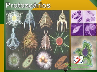 Prof. Romualdo Caetano
Ciências Biológicas
 