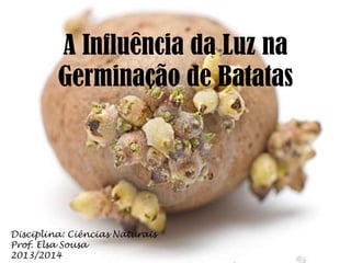 A Influência da Luz na
Germinação de Batatas
Disciplina: Ciências Naturais
Prof. Elsa Sousa
2013/2014
 