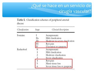 ¿Qué se hace en un servicio de
             cirugía vascular?
 