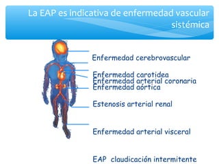 La EAP es indicativa de enfermedad vascular
                                  sistémica


               Enfermedad cerebrovascular

               Enfermedad carotidea
               Enfermedad arterial coronaria
               Enfermedad aórtica

               Estenosis arterial renal


               Enfermedad arterial visceral


               EAP claudicación intermitente
 