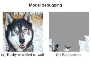 LIME / live
vs

Break Down
Model debugging
 
