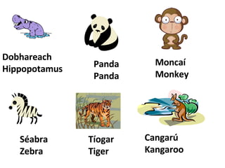 Dobhareach Hippopotamus Panda Panda Moncaí Monkey Séabra Zebra Tíogar Tiger Cangarú Kangaroo 