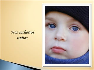 Nos cachorros
  vadios
 