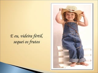 E eu, videira fértil,
 sequei os frutos
 