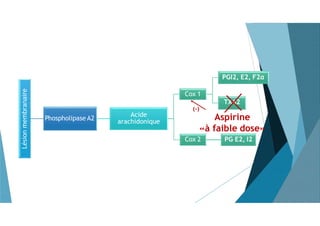 Lésionmembranaire
Phospholipase A2
Acide
arachidonique
Cox 2 PG E2, I2
Aspirine
«à faible dose»
PGI2, E2, F2α
Cox 1
TXA2
(-)
 