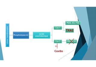 Lésionmembranaire
Phospholipase A2
Acide
arachidonique
Cox 1
PGI2, E2, F2α
TXA2
Cox 2 PG E2, I2
(-)
Coxibs
TXA2
 