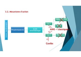 3.2. Mécanisme d’action
Lésionmembranaire
Phospholipase A2
Acide
arachidonique
PGI2, E2, F2α
Cox 1
TXA2
Cox 2 PG E2, I2
AINS « classiques »
(-)
Coxibs
(-)
(-)
 