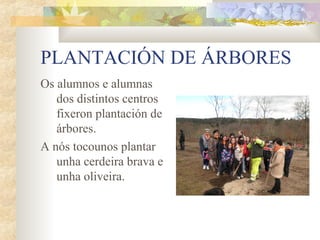 PLANTACIÓN DE ÁRBORES
Os alumnos e alumnas
   dos distintos centros
   fixeron plantación de
   árbores.
A nós tocounos plantar
   unha cerdeira brava e
   unha oliveira.
 