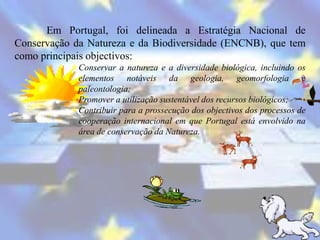 Em Portugal, foi delineada a Estratégia Nacional de
Conservação da Natureza e da Biodiversidade (ENCNB), que tem
como principais objectivos:
           Conservar a natureza e a diversidade biológica, incluindo os
            elementos notáveis da geologia, geomorfologia e
            paleontologia;
           Promover a utilização sustentável dos recursos biológicos;
           Contribuir para a prossecução dos objectivos dos processos de
            cooperação internacional em que Portugal está envolvido na
            área de conservação da Natureza.
 