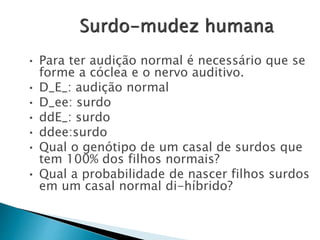 Surdo-mudez humana
• Para ter audição normal é necessário que se
forme a cóclea e o nervo auditivo.
• D_E_: audição normal
• D_ee: surdo
• ddE_: surdo
• ddee:surdo
• Qual o genótipo de um casal de surdos que
tem 100% dos filhos normais?
• Qual a probabilidade de nascer filhos surdos
em um casal normal di-híbrido?
 
