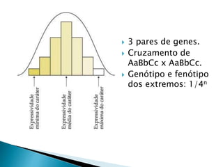  3 pares de genes.
 Cruzamento de
AaBbCc x AaBbCc.
 Genótipo e fenótipo
dos extremos: 1/4n
 