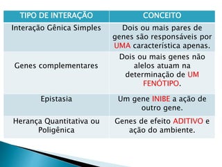 TIPO DE INTERAÇÃO CONCEITO
Interação Gênica Simples Dois ou mais pares de
genes são responsáveis por
UMA característica apenas.
Genes complementares
Dois ou mais genes não
alelos atuam na
determinação de UM
FENÓTIPO.
Epistasia Um gene INIBE a ação de
outro gene.
Herança Quantitativa ou
Poligênica
Genes de efeito ADITIVO e
ação do ambiente.
 