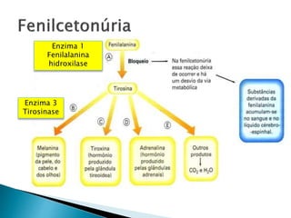 Enzima 3
Tirosinase
Enzima 1
Fenilalanina
hidroxilase
 