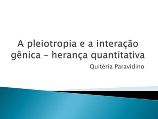 Quitéria Paravidino
 