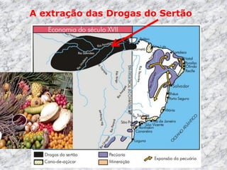 A extração das Drogas do Sertão
 