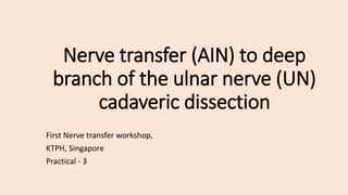 Nerve transfer (AIN) to deep
branch of the ulnar nerve (UN)
cadaveric dissection
First Nerve transfer workshop,
KTPH, Singapore
Practical - 3
 