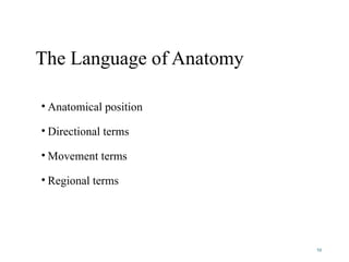 A, introduction anatomy, approach to study anatomy | PPTX