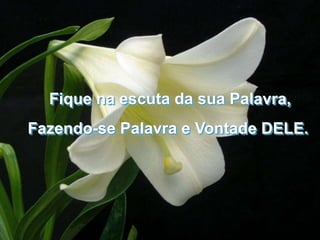 Fique na escuta da sua Palavra,
Fazendo-se Palavra e Vontade DELE.
 