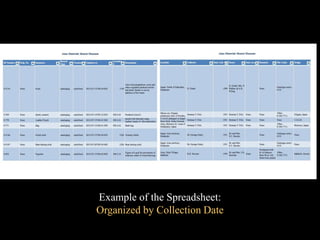 Example of the Spreadsheet:
Organized by Collection Date
 