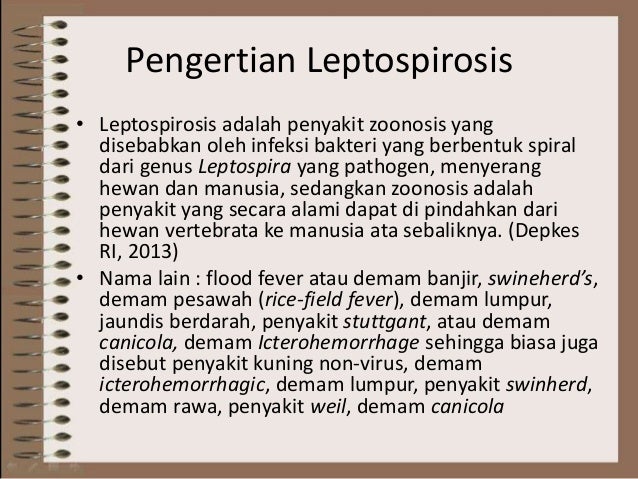 leptospirosis leptospirosis