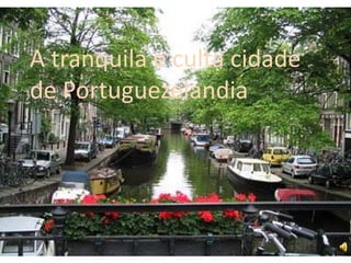 A tranquila e culta cidade de Portuguezelandia 