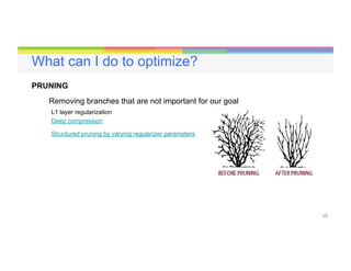 20
What can I do to optimize?
PRUNING
Removing branches that are not important for our goal
L1 layer regularization
Structured pruning by varying regularizer parameters
Deep compression
 