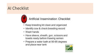 AI Checklist
 