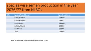species wise semen production in the year
2076/77 from NLBOs
S.N. Species/Breed Semen produced(dose)
Cattle/Holstein 233129
Cattle/Hariyana 74927
Cattle/Jersey 281466
Buffalo/Murrah 174222
Goat/Boer 30140
Total 793884
Cost of per straw frozen semen Production Rs. 28.56
 