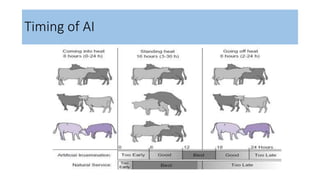 Timing of AI
 
