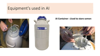 Equipment's used in AI
AI Container : Used to store semen
 