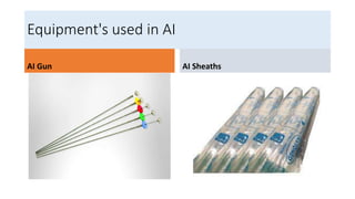 Equipment's used in AI
AI Gun AI Sheaths
 