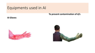 Equipments used in AI
AI Gloves
To prevent contamination of d/s
 