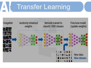 Transfer Learning
 